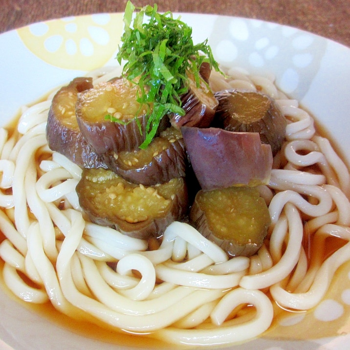 ナスの煮浸しのっけうどん